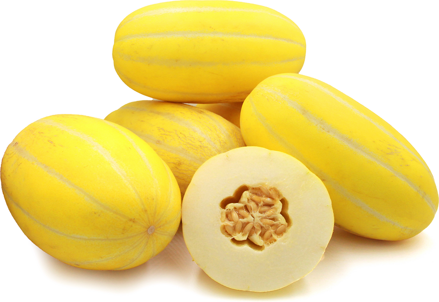 Yellow Muskmelon yellow-muskmelon